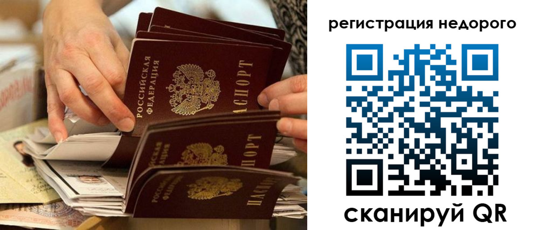 прописка в квартире в Оленегорске